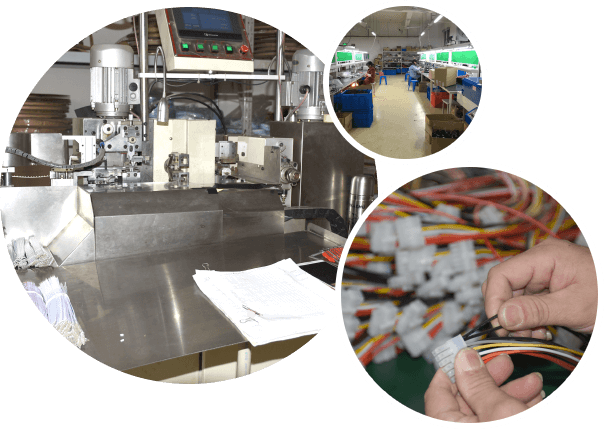 ������ʢ����