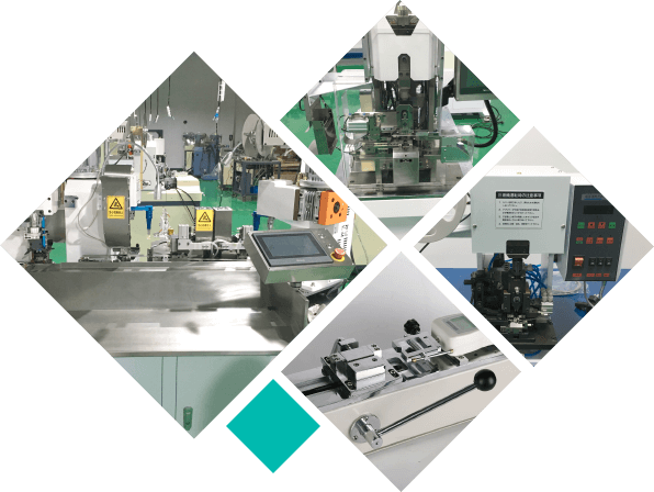 ������ʢ����